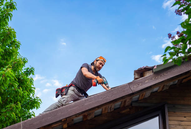 Best Emergency Roof Repair Services  in Cumberland Head, NY